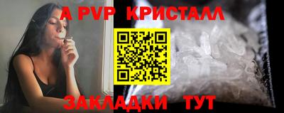 спиды Аргун